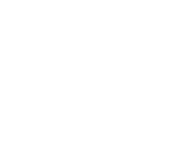 MNT jobs